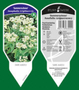 BYLINY-ŚWIERK kasvi taimitarha perennoja ruoho saniaisia ​​Puola 06
